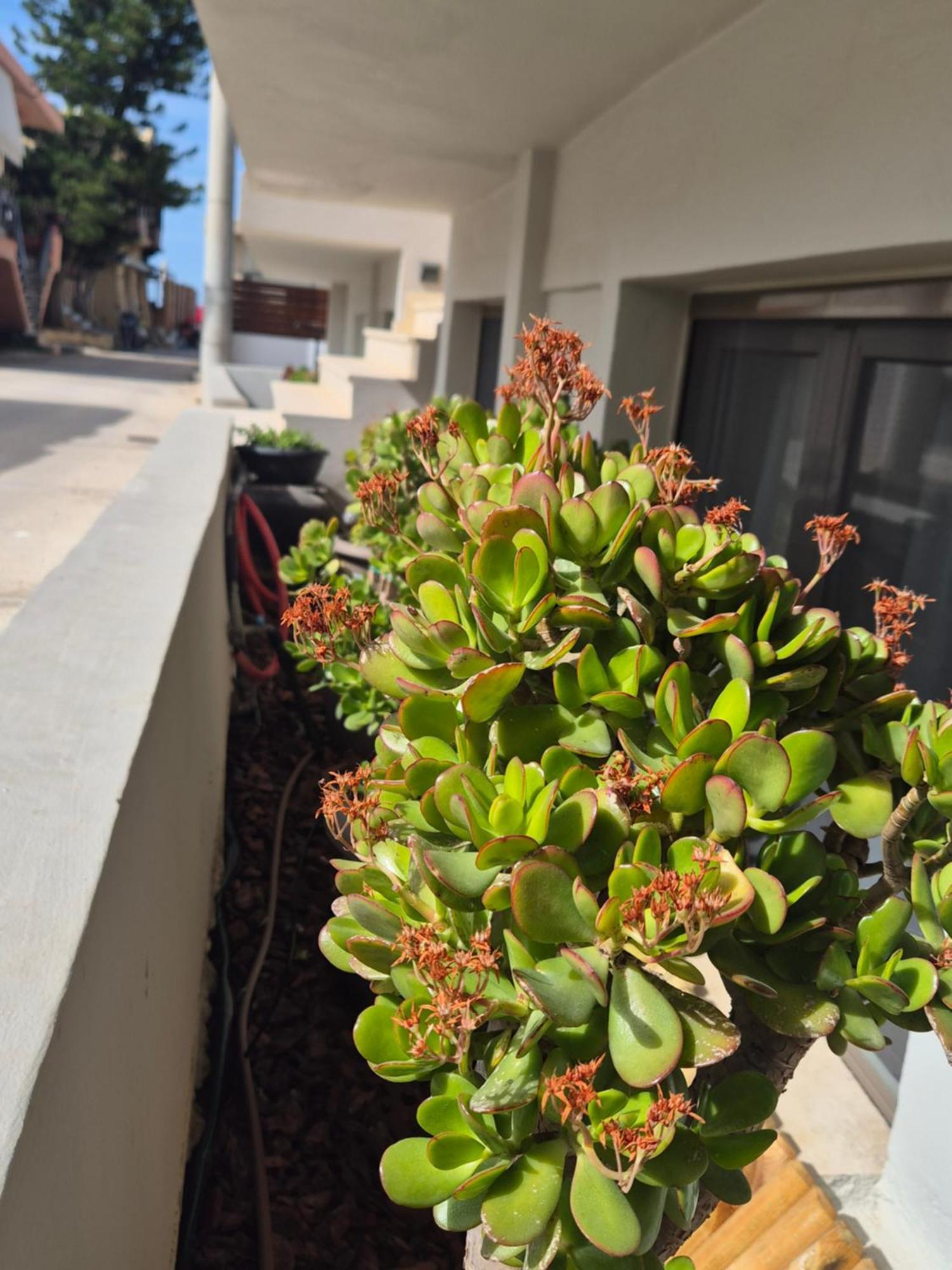Calmare Suites Rethymno  Екстер'єр фото